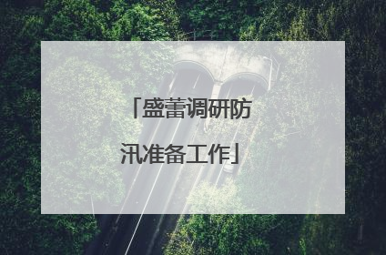 盛蕾调研防汛准备工作
