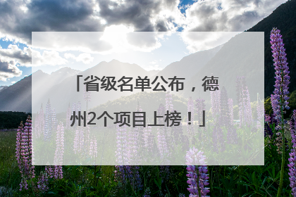 省级名单公布，德州2个项目上榜！