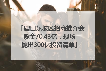 眉山东坡区招商推介会揽金70.43亿，现场抛出300亿投资清单