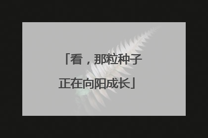 看，那粒种子正在向阳成长