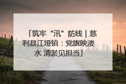 筑牢“汛”防线｜慈利县江垭镇：党旗映溇水 清淤见担当