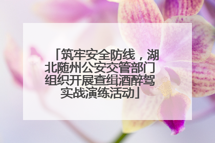 筑牢安全防线，湖北随州公安交管部门组织开展查缉酒醉驾实战演练活动