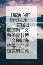 破浪向鲜 链动未来——首届日照深海三文鱼美食节暨三文鱼陆海统筹全产业链发展会议嘉宾访谈