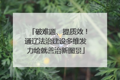 破难题、提质效！通辽法治建设多维发力绘就善治新图景