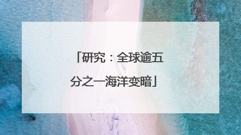 研究：全球逾五分之一海洋变暗