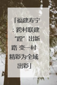 福建寿宁：跨村联建“蹚”出新路 变一村精彩为全域出彩