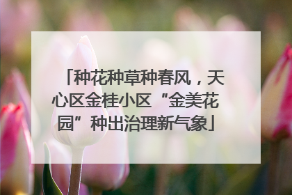 种花种草种春风，天心区金桂小区“金美花园”种出治理新气象