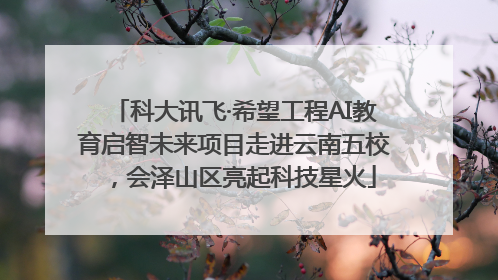 科大讯飞·希望工程AI教育启智未来项目走进云南五校,会泽山区亮起科技星火