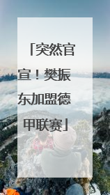 突然官宣！樊振东加盟德甲联赛