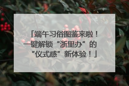 端午习俗图鉴来啦！一键解锁“浙里办”的“仪式感”新体验！