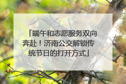 端午和志愿服务双向奔赴！济南公交解锁传统节日的打开方式