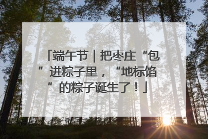 端午节｜把枣庄“包”进粽子里，“地标馅”的粽子诞生了！