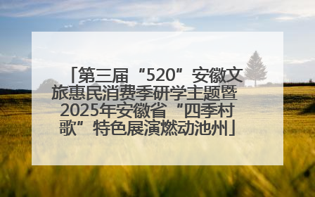 第三届“520”安徽文旅惠民消费季研学主题暨 2025年安徽省“四季村歌”特色展演燃动池州