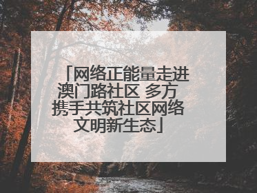 网络正能量走进澳门路社区 多方携手共筑社区网络文明新生态