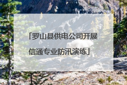 罗山县供电公司开展信通专业防汛演练