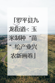 罗平县九龙街道：玉米制种“苗”绘产业兴农新画卷