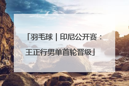 羽毛球｜印尼公开赛：王正行男单首轮晋级