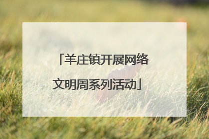 羊庄镇开展网络文明周系列活动
