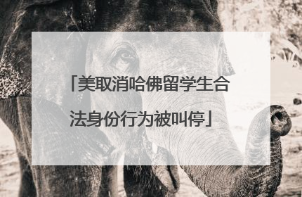 美取消哈佛留学生合法身份行为被叫停