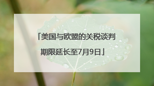 美国与欧盟的关税谈判期限延长至7月9日