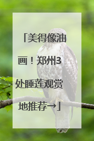 美得像油画！郑州3处睡莲观赏地推荐→