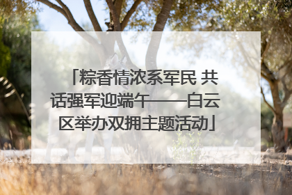 粽香情浓系军民 共话强军迎端午——白云区举办双拥主题活动