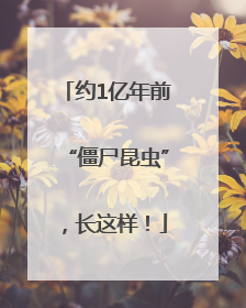 约1亿年前“僵尸昆虫”，长这样！