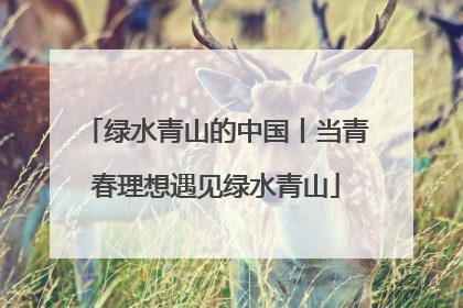 绿水青山的中国丨当青春理想遇见绿水青山