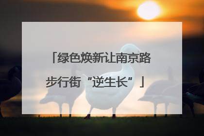 绿色焕新让南京路步行街“逆生长”