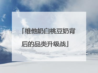维他奶白桃豆奶背后的品类升级战