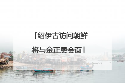 绍伊古访问朝鲜 将与金正恩会面