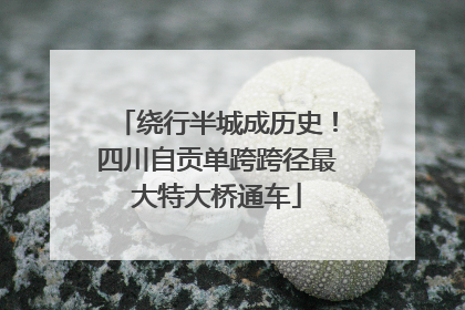 绕行半城成历史！四川自贡单跨跨径最大特大桥通车
