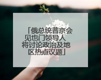 俄总统普京会见也门领导人 将讨论政治及地区热点议题
