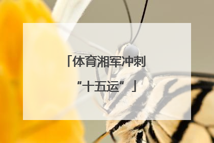 体育湘军冲刺“十五运”
