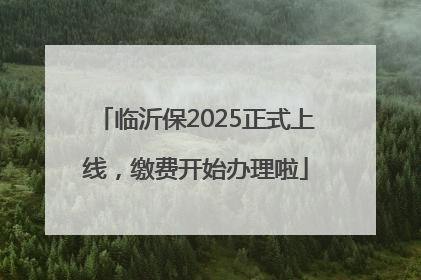 临沂保2025正式上线，缴费开始办理啦