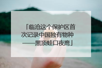 临沧这个保护区首次记录中国独有物种——黑顶蛙口夜鹰