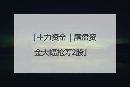 主力资金｜尾盘资金大幅抢筹2股