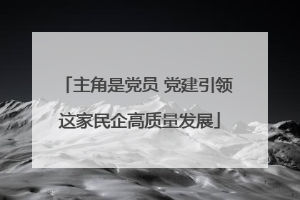 主角是党员 党建引领这家民企高质量发展