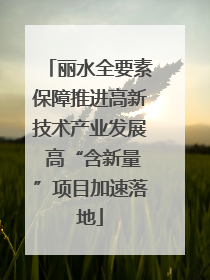 丽水全要素保障推进高新技术产业发展 高“含新量”项目加速落地