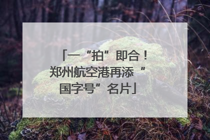 一“拍”即合！郑州航空港再添“国字号”名片