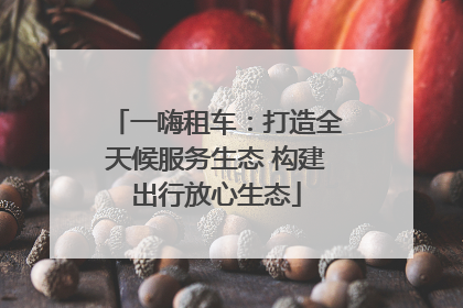 一嗨租车：打造全天候服务生态 构建出行放心生态