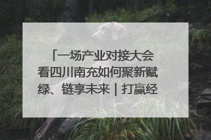 一场产业对接大会 看四川南充如何聚新赋绿、链享未来｜打赢经济发展翻身仗