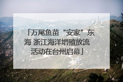 万尾鱼苗“安家”东海 浙江海洋增殖放流活动在台州启幕