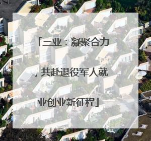 三亚：凝聚合力，共赴退役军人就业创业新征程