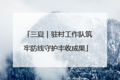 三夏｜驻村工作队筑牢防线守护丰收成果
