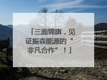 三面锦旗，见证振森能源的“非凡合作”！