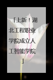 上新！湖北工程职业学院成立人工智能学院