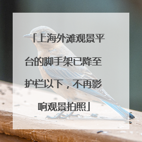 上海外滩观景平台的脚手架已降至护栏以下，不再影响观景拍照