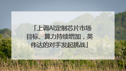 上调AI定制芯片市场目标、算力持续增加，英伟达的对手发起挑战