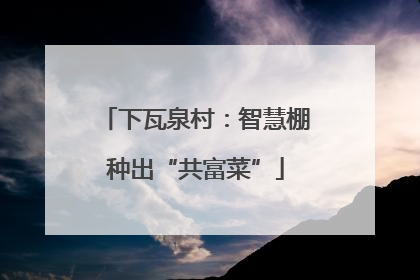 下瓦泉村：智慧棚种出“共富菜”